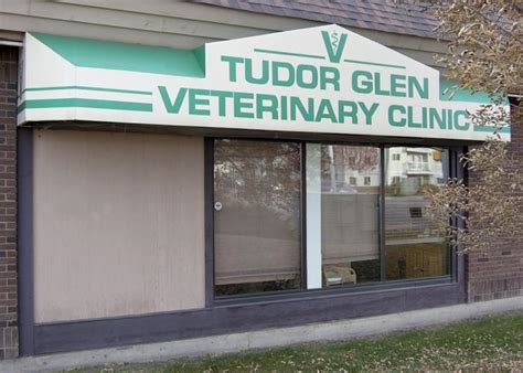 tudor glen vet|st albert animal clinic.